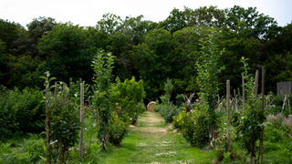 The gardens at Loire Valley Lodges