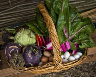 An example of the best vegetables to grow in a greenhouse showing a basket of home-grown vegetables and eggs