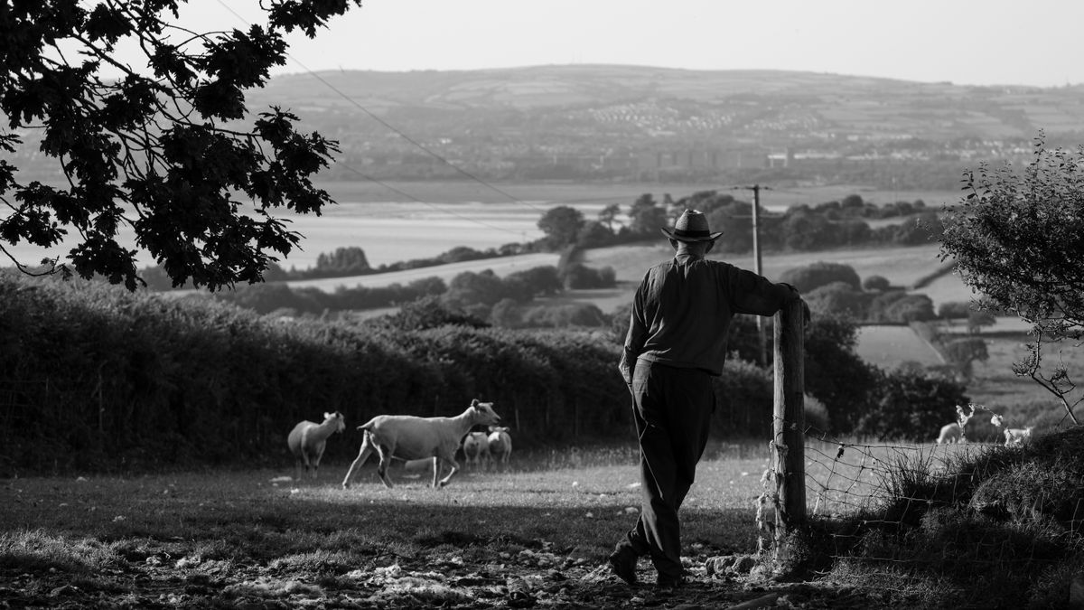 A man looking out over a countryside