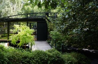 bridging boyd by jolson, a modernist house refreshed with white walls, black framing and details and a overgrown leafy garden seen through large glazing