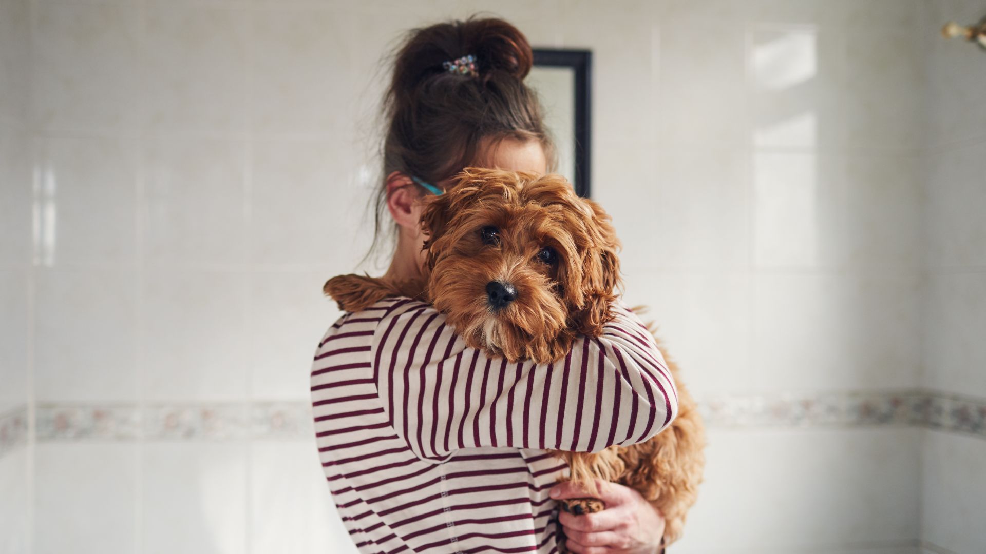 Woman in a striped top cuddling a fluffy sandy colored poodle mix