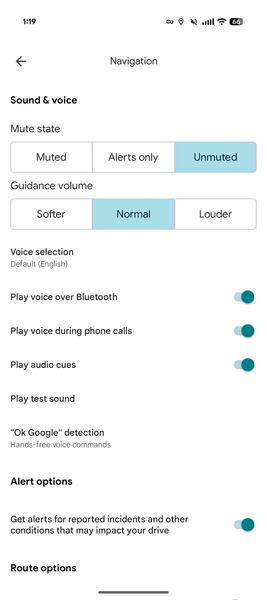 Google Maps without playback controls settings