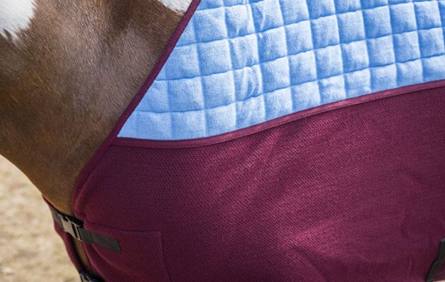 Thermatex Duet Cooler Rug review