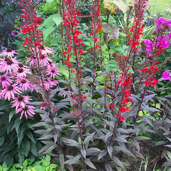 Goldie Hawn’s Fountain Is Surrounded by Plants – and It’s a Masterclass in Planting Around Water