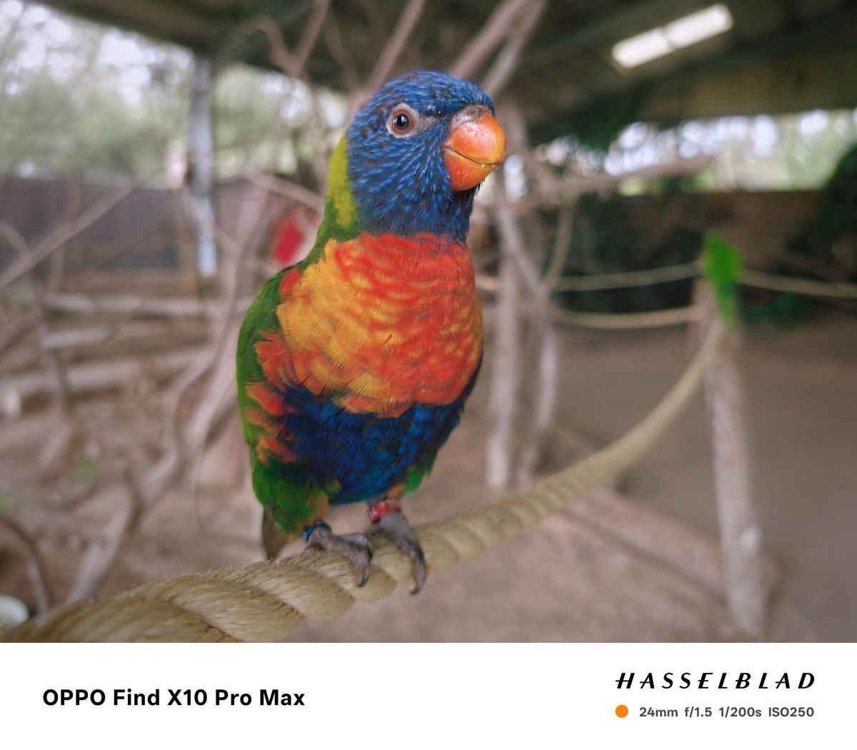 Sample photo taken on the Oppo Find X10 Pro Max