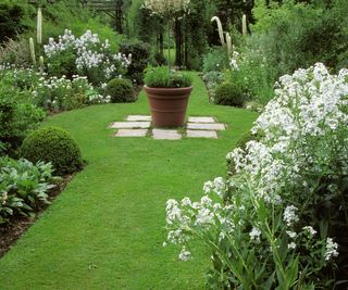Shaped lawn with flower beds containing white flowers