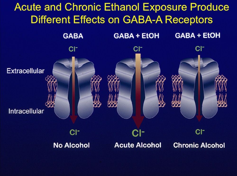 booze-snooze-why-does-alcohol-make-you-sleepy-then-alert-live-science