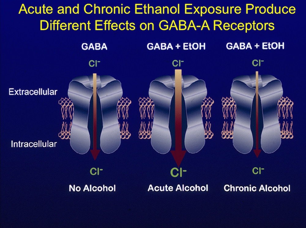 booze-snooze-why-does-alcohol-make-you-sleepy-then-alert-live-science