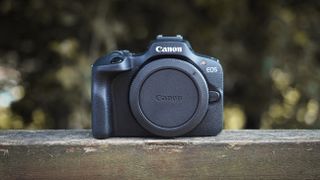 Canon APS-C cameras on a wooden surface