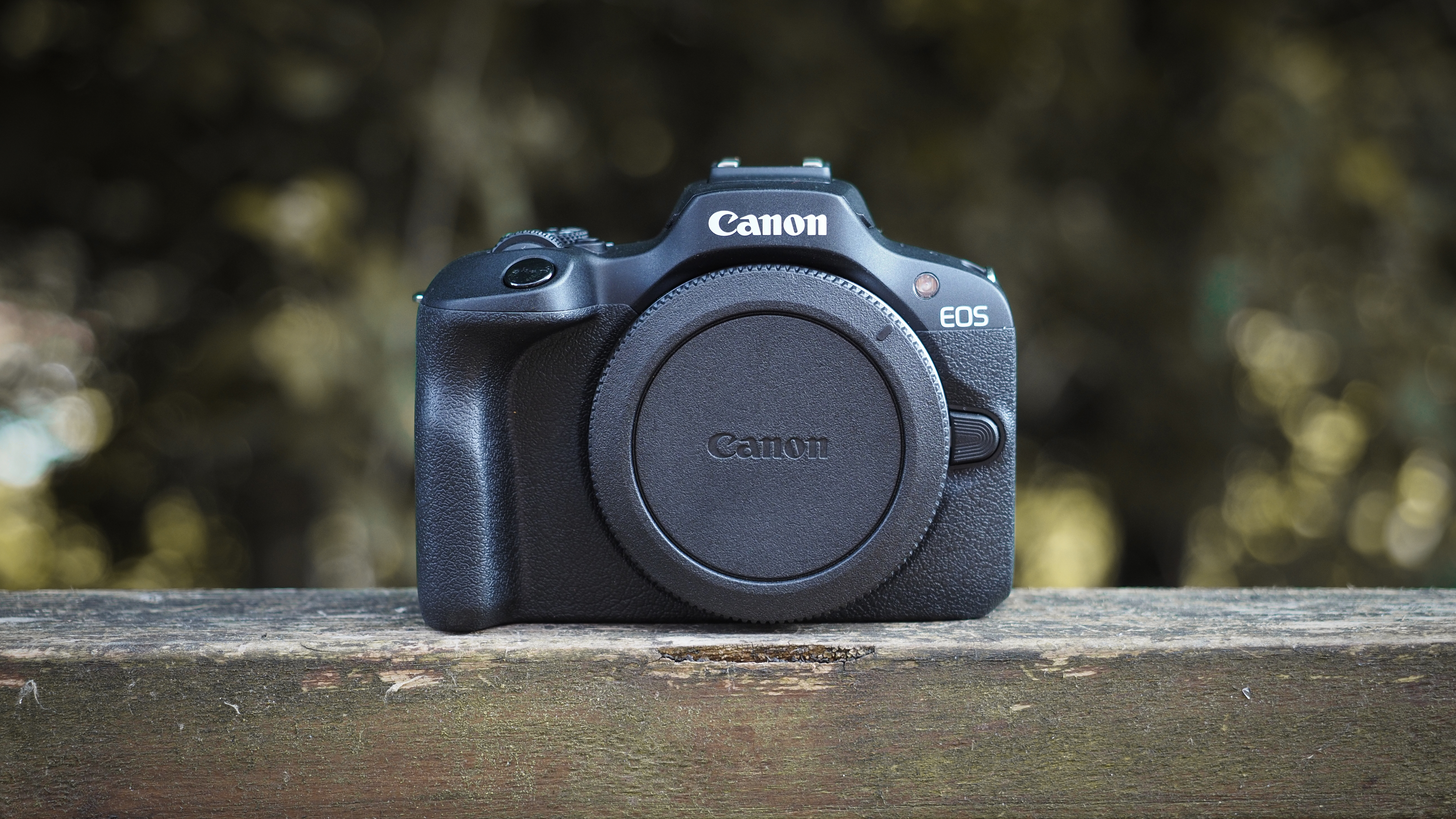 Canon APS-C cameras on a wooden surface