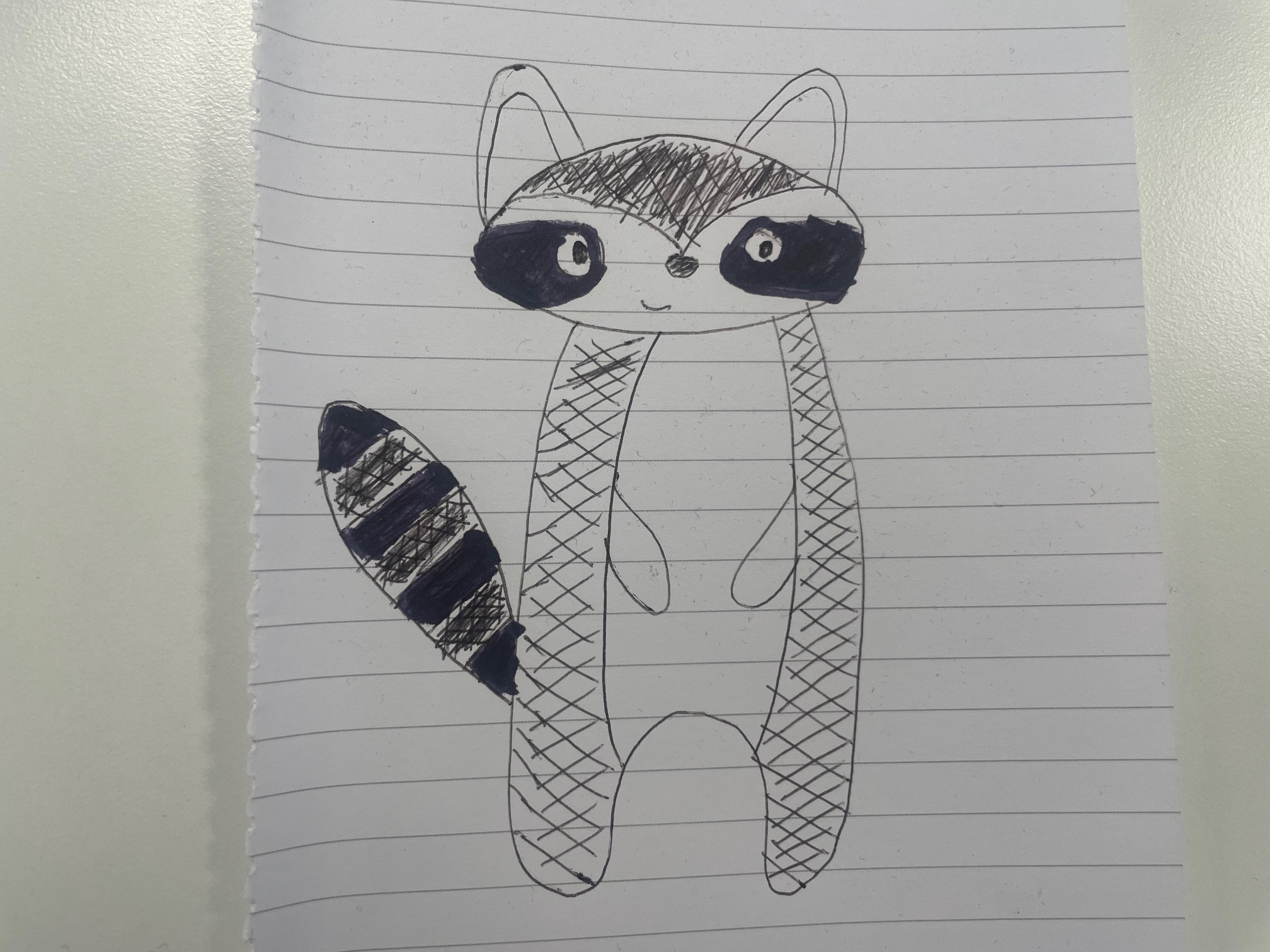 racoon sketch