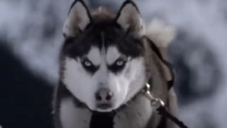 Demon from Snow Dogs