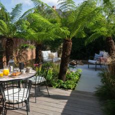 A modern garden and decking area, filled with palms