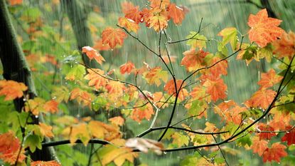 Farmers&#039; Almanac fall weather predictions