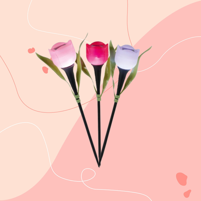 Lidl light-up tulips on pink background.