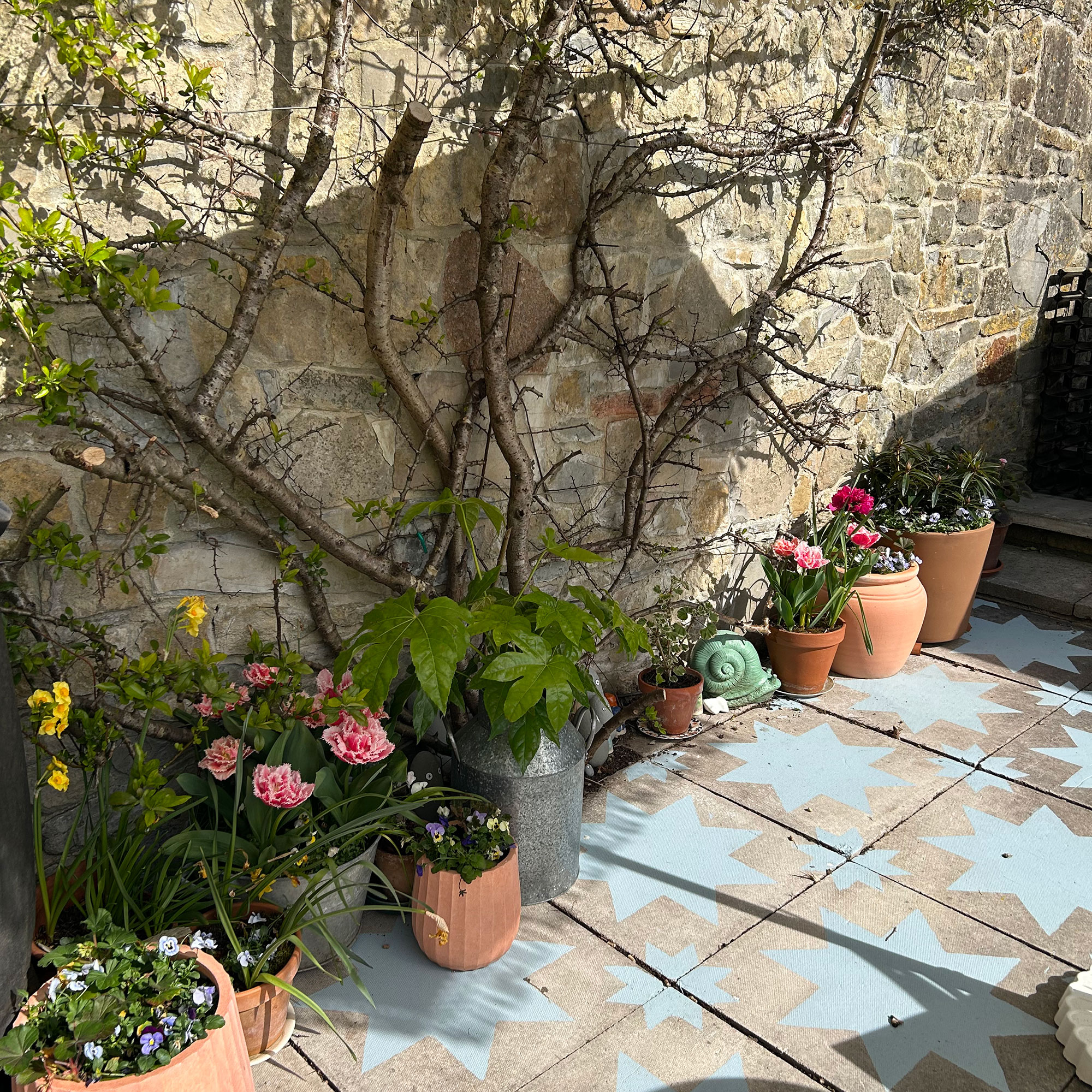 Stone wall lined with potted plants and climber growing up, above patio slabs painted with blue star design