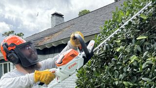 Man trimming top of hedge with STIHL HSA 60 hedge trimmer