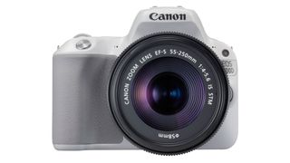 Don't fancy it in black? The EOS 200D/Rebel SL2 also comes in white and a two-tone tan and silver.