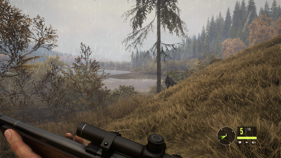 the hunter call of the wild mods pc