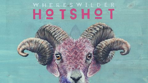 Cover art for Whereswilder - Hotshot album