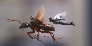 Ant-Man and The Wasp flying