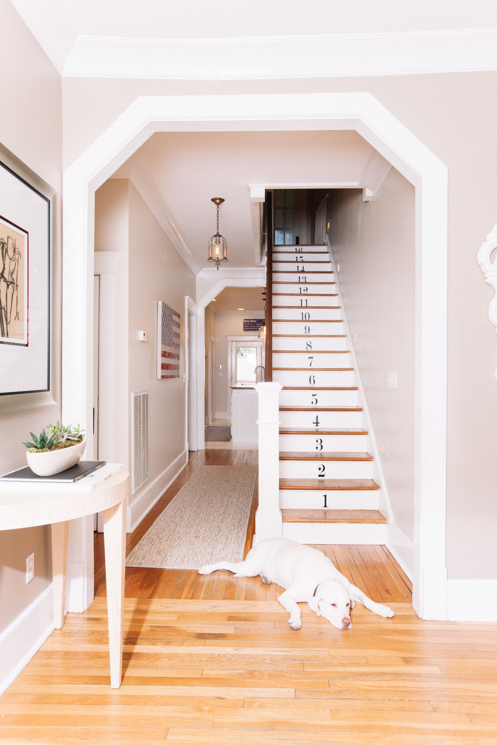Stair Paint Ideas 15 Ways To Make It A Focal Point With Paint Homes IWNJnW7YhE3GG79eAmy5w9 1920 80