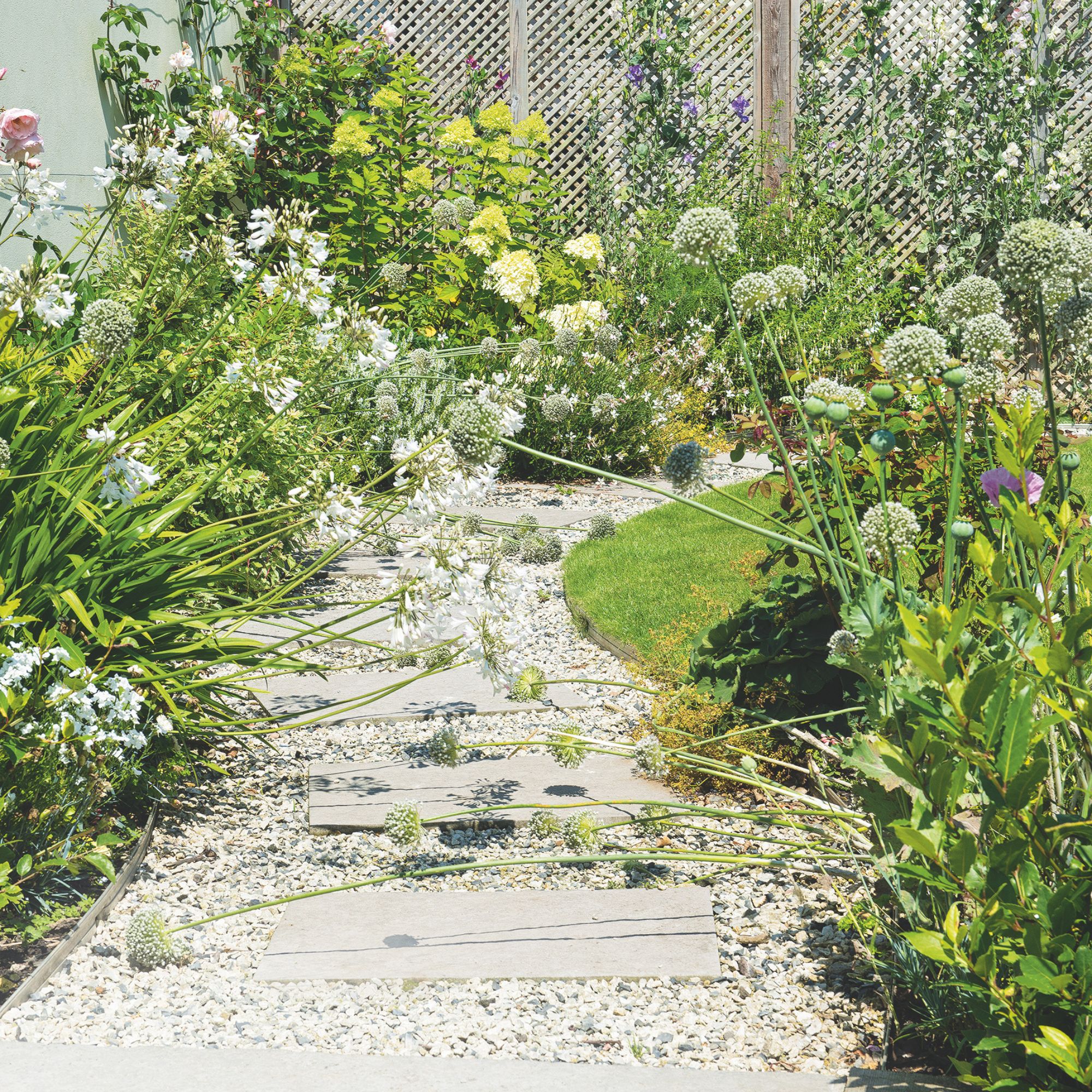 Mediterranean style garden