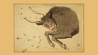 Carta astronómica que muestra el toro Tauro formando la constelación, revelando el cúmulo estelar de las Pléyades.