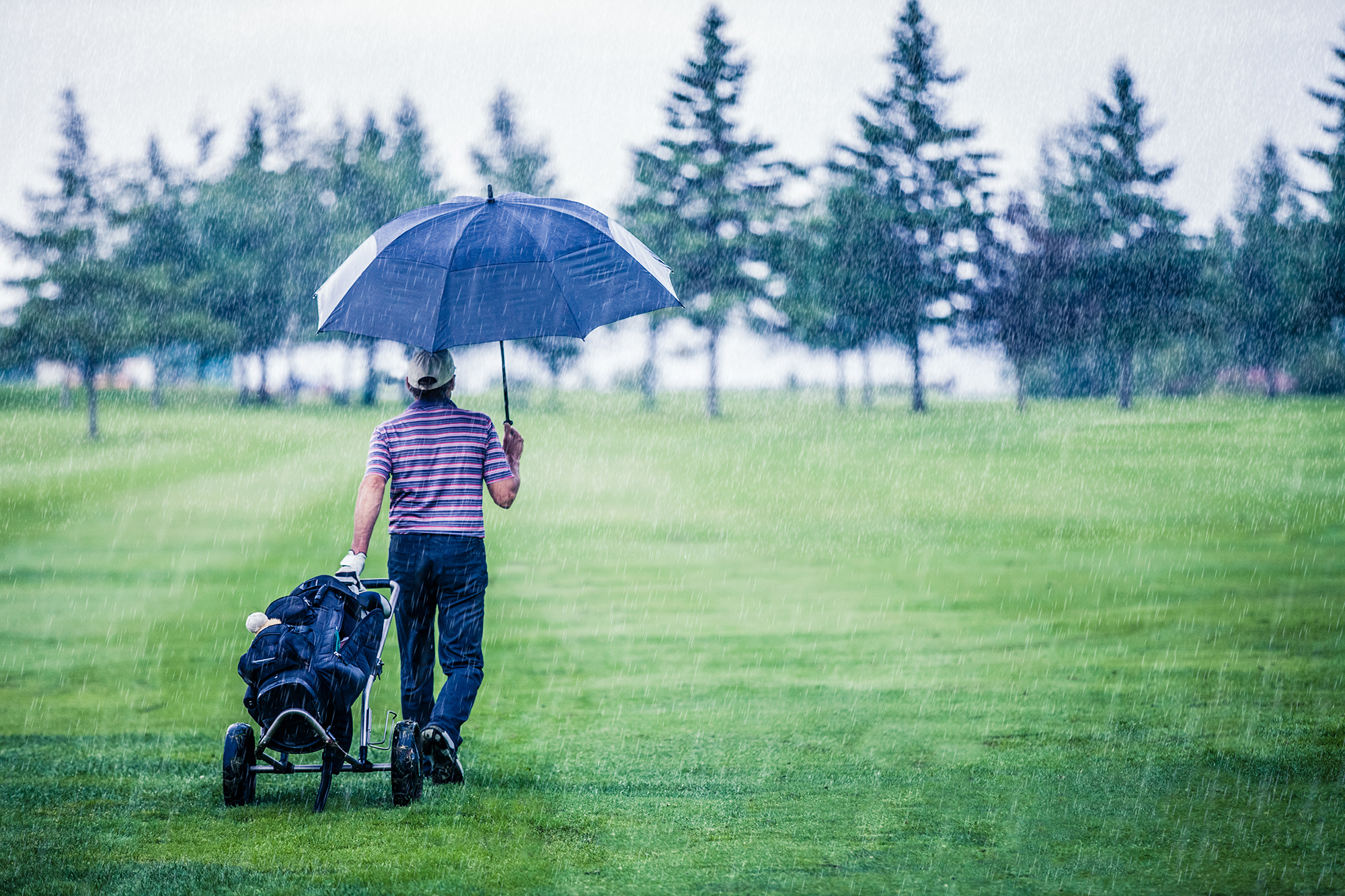 A golfer walking with a trolley and an umbrella in heavy rain on the golf course