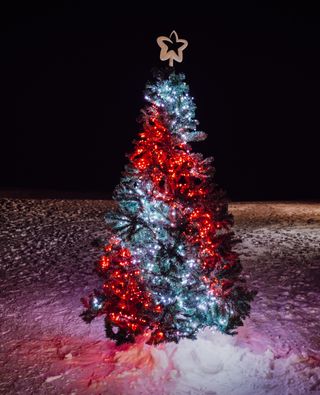 colorful outdoor christmas tree lights
