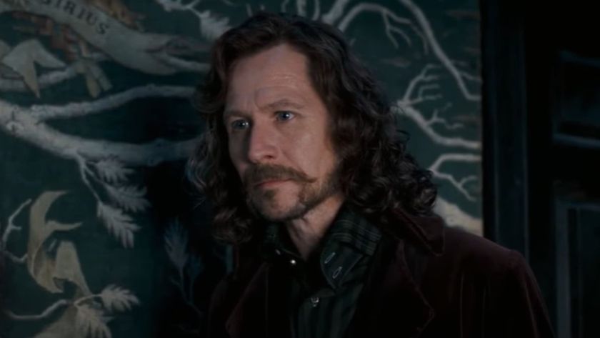Sirius Black looking at Harry.