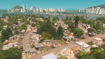 Best city building games: A screenshot of a residential zone in the game Cities Skylines.