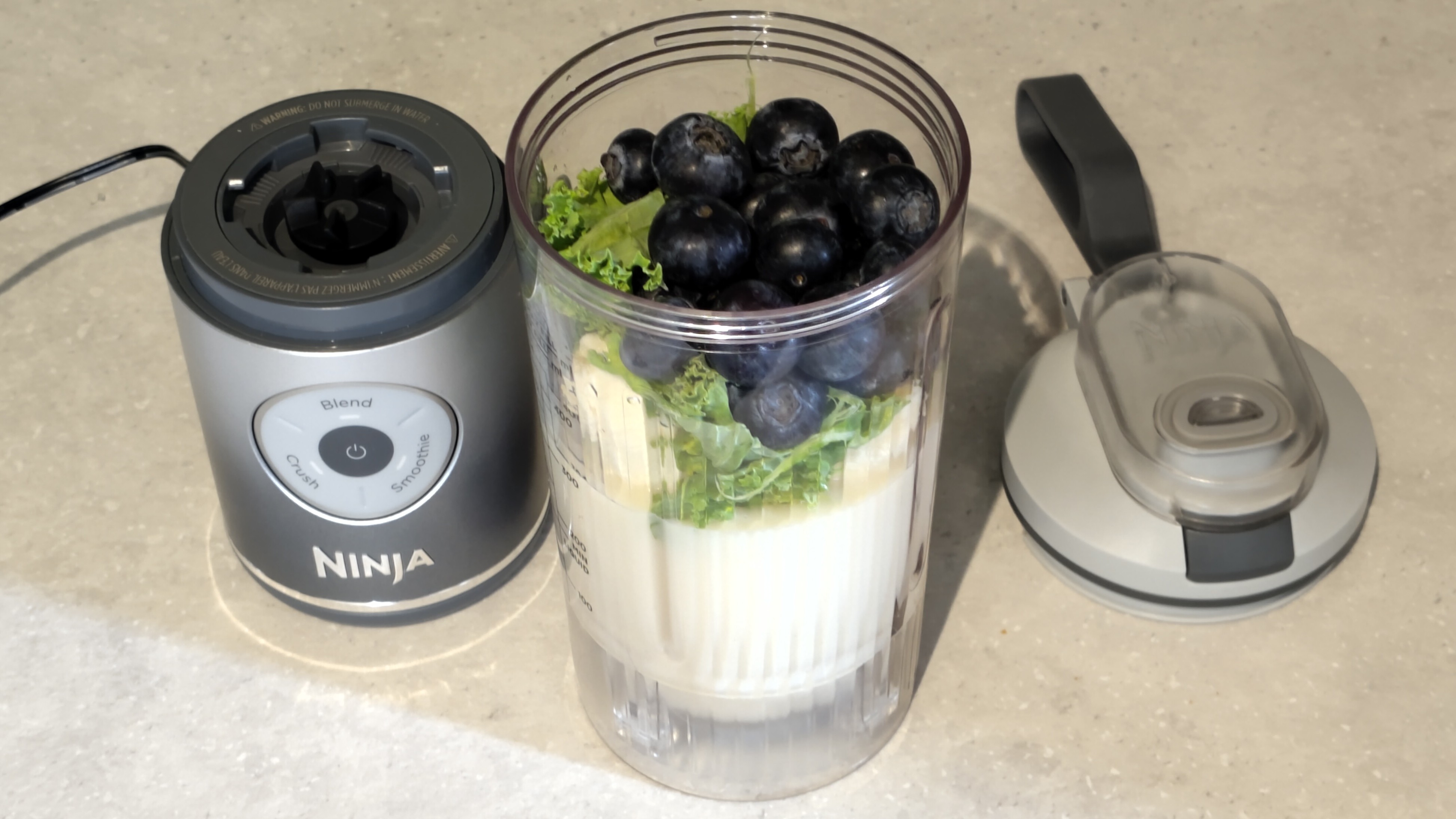 Ninja Blast Max blender containing plant milk, banana, kale, and blueberries