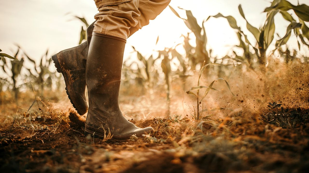 best wellies for men: Man walking in field with wellies on