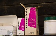 regumate-DSC8549-1.jpg