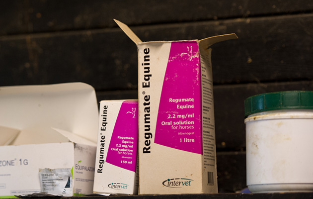 regumate-DSC8549-1.jpg