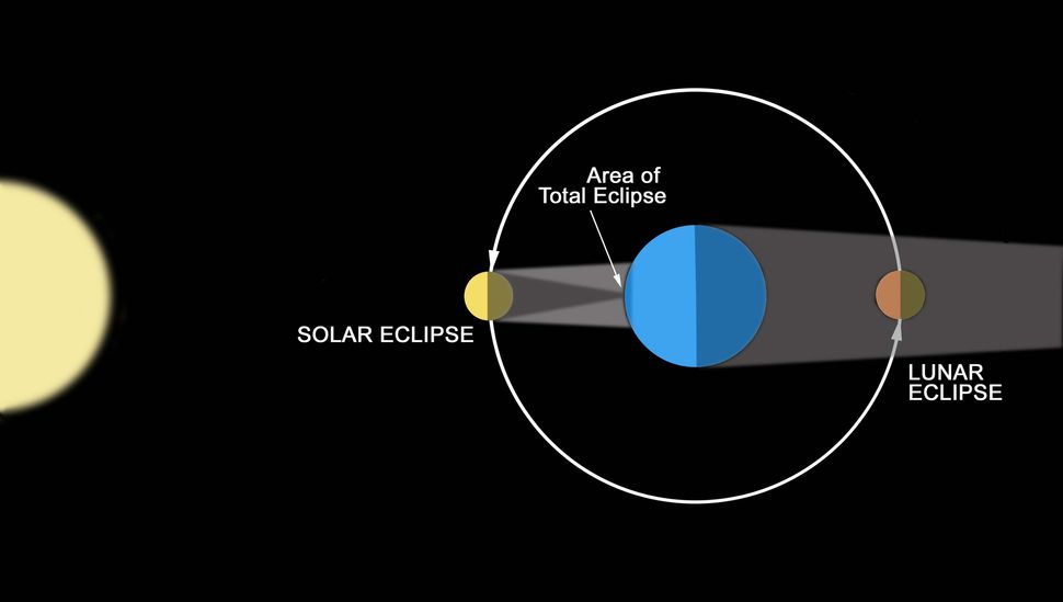 What's the difference between a solar eclipse and a lunar eclipse? | Space
