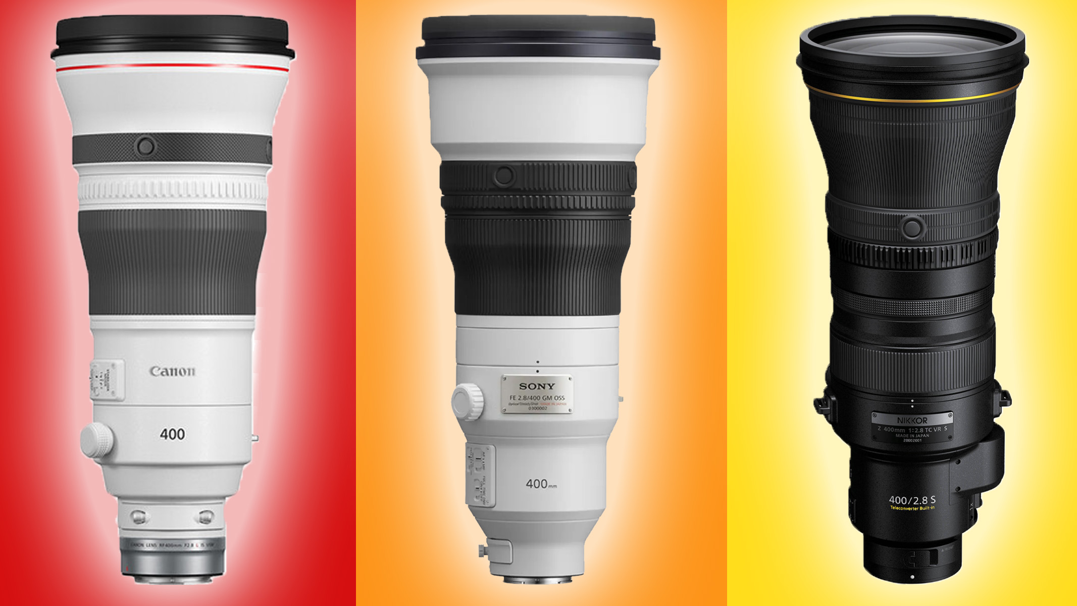 Canon, Sony and Nikon lenses on a coloured background