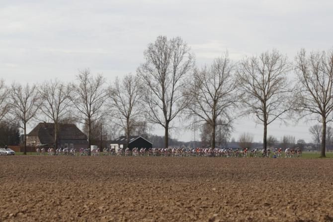 This was the first warm day of the 2013 season. The weather so far has held back the green from the fields and trees