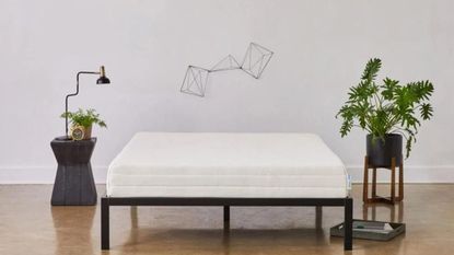 Sleep on latex bed on bed frame with plants