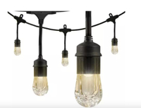 Ecoscapes 36' Strand LED Acrylic Cafe Lights (18 bulbs) by Enbrighten for $49.98, at Sam's Club