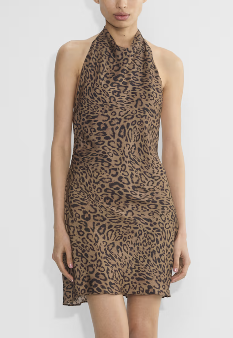 aritzia, 