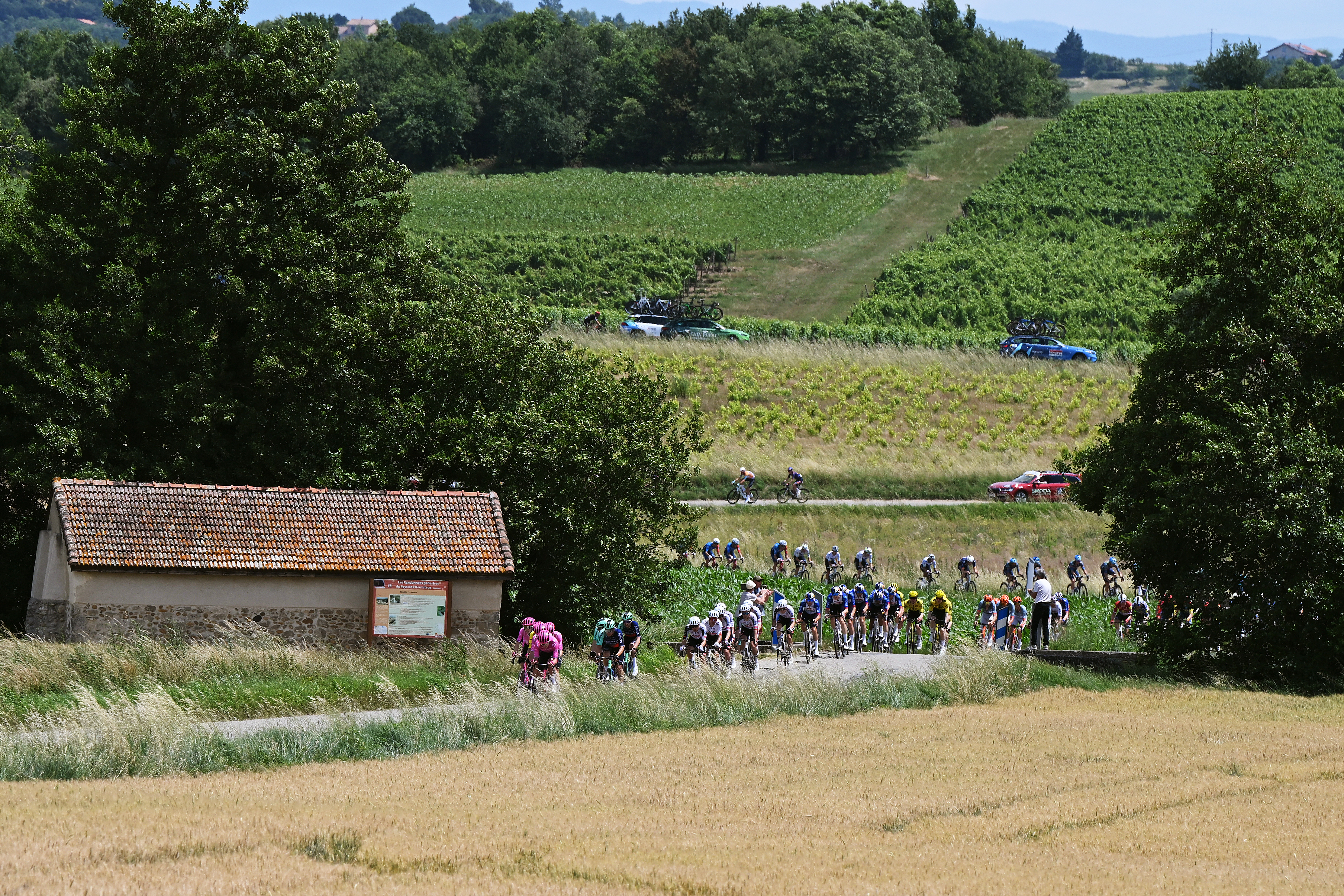 Crit&eacute;rium du Dauphin&eacute; - Tour Auvergne-Rh&ocirc;ne-Alpes stage 2 LIVE - Peloton gives sizeable gap to 10 man break with Clement Braz Afonso new virtual leader