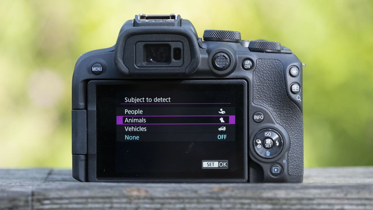The Canon EOS R10 camers sitting on a wooden bannister