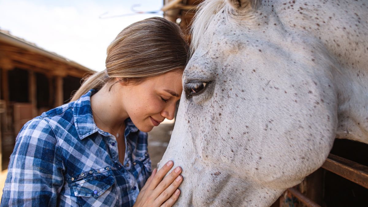 Woman and horse with their foreheads pressed together