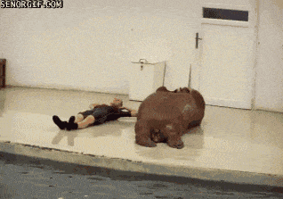 Walrus & Person Doing Sit Ups