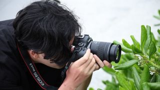 Canon RF 28-70mm f/2.8 IS STM lens, mounted to a Canon EOS R6 Mark II, being used by a photographer to shoot macro shots of leaves