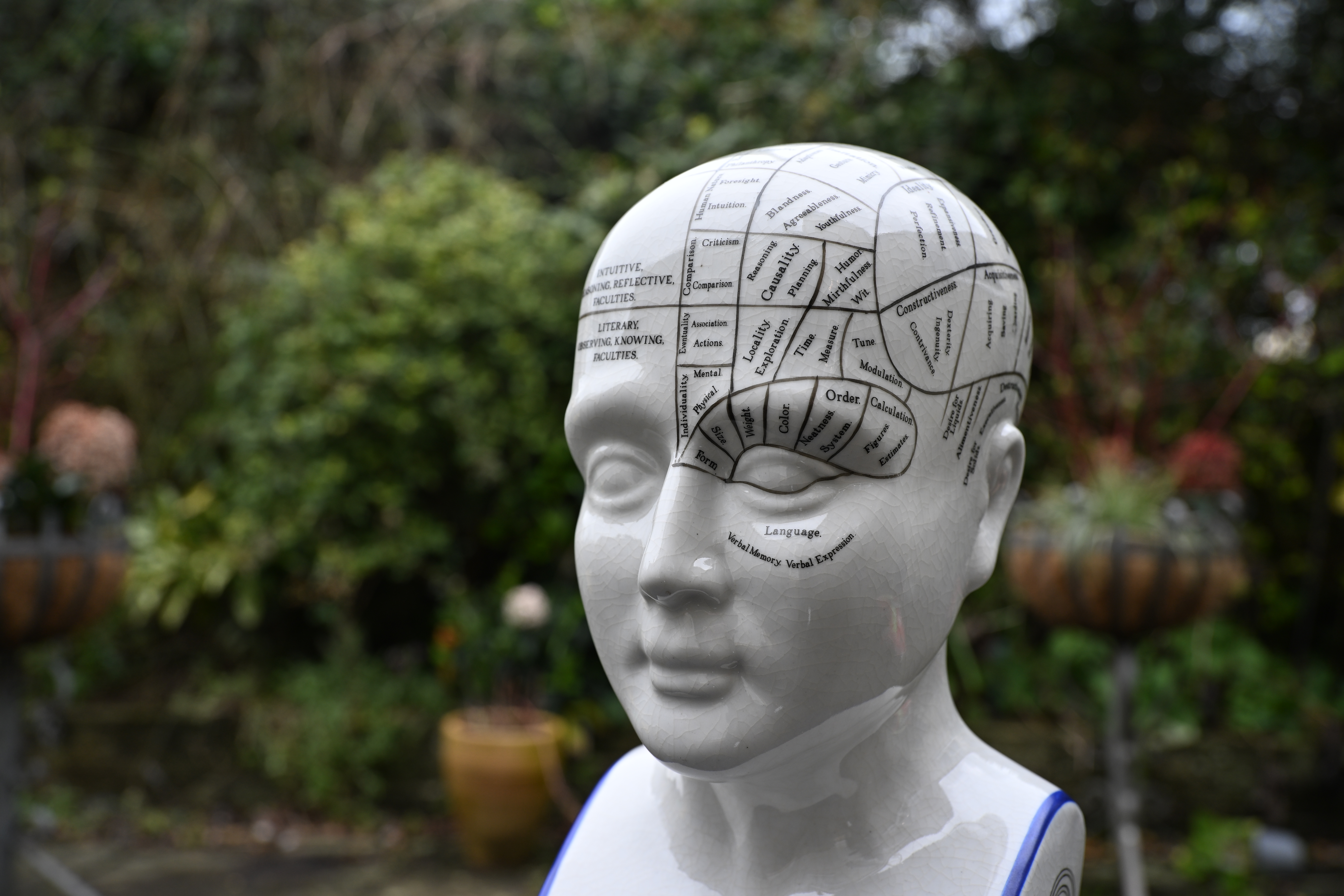 Viltrox AF 35mm f/1.8 Evo II sample shot