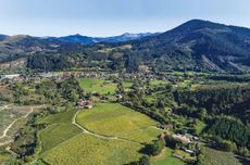 Bodegas Astobiza, Okondo