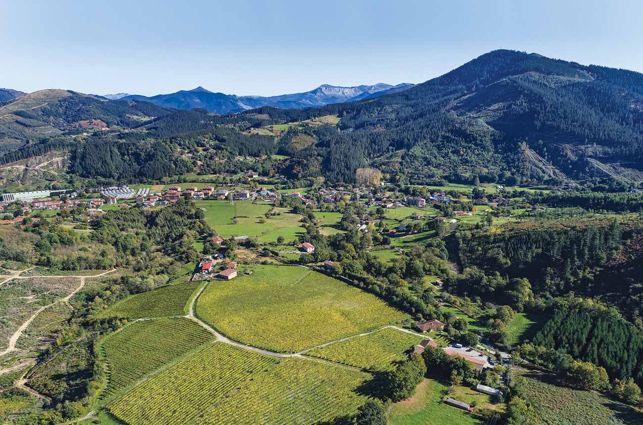 Bodegas Astobiza, Okondo